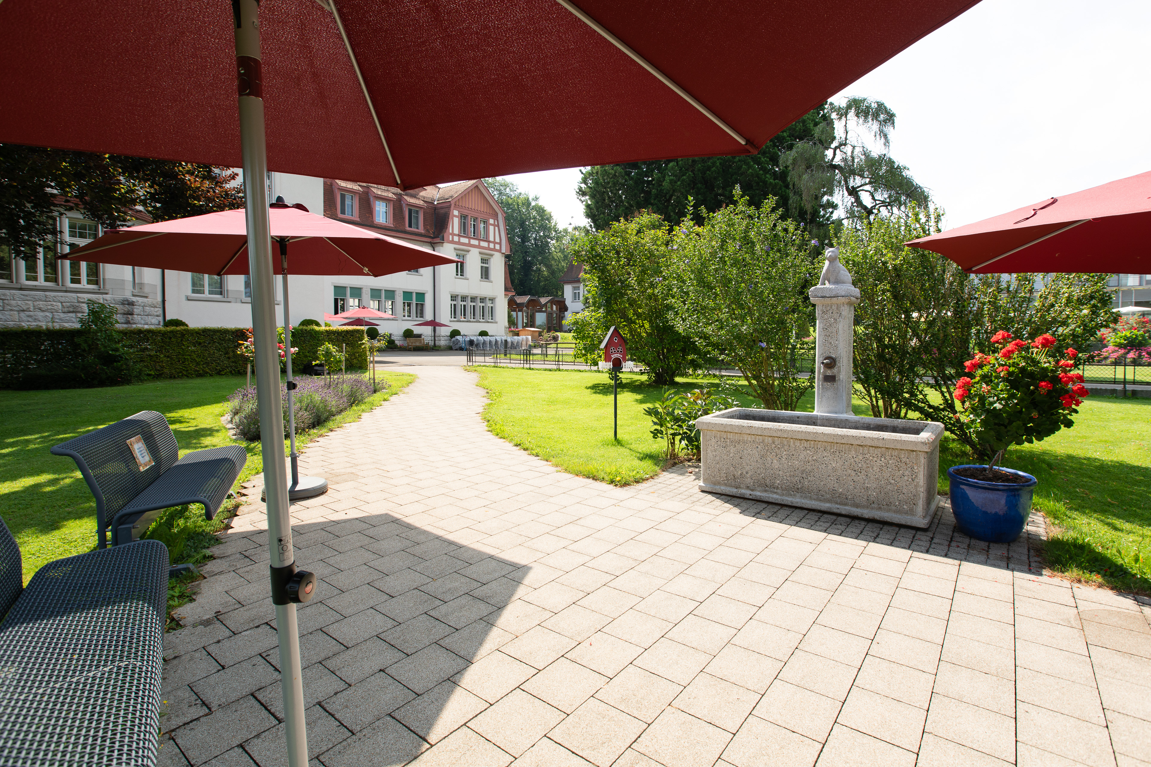 Nikis Katzenbrunnen im Rosengärtli